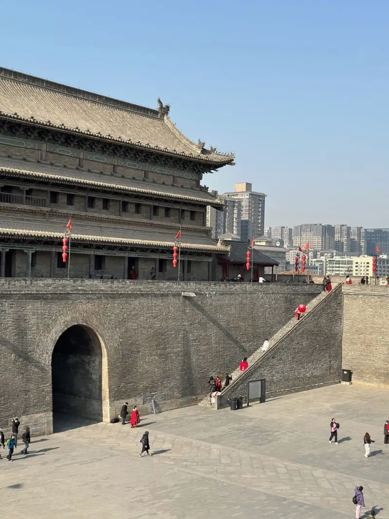 深圳地区园林绿化工程苗木选配与景观效果提升要点解析